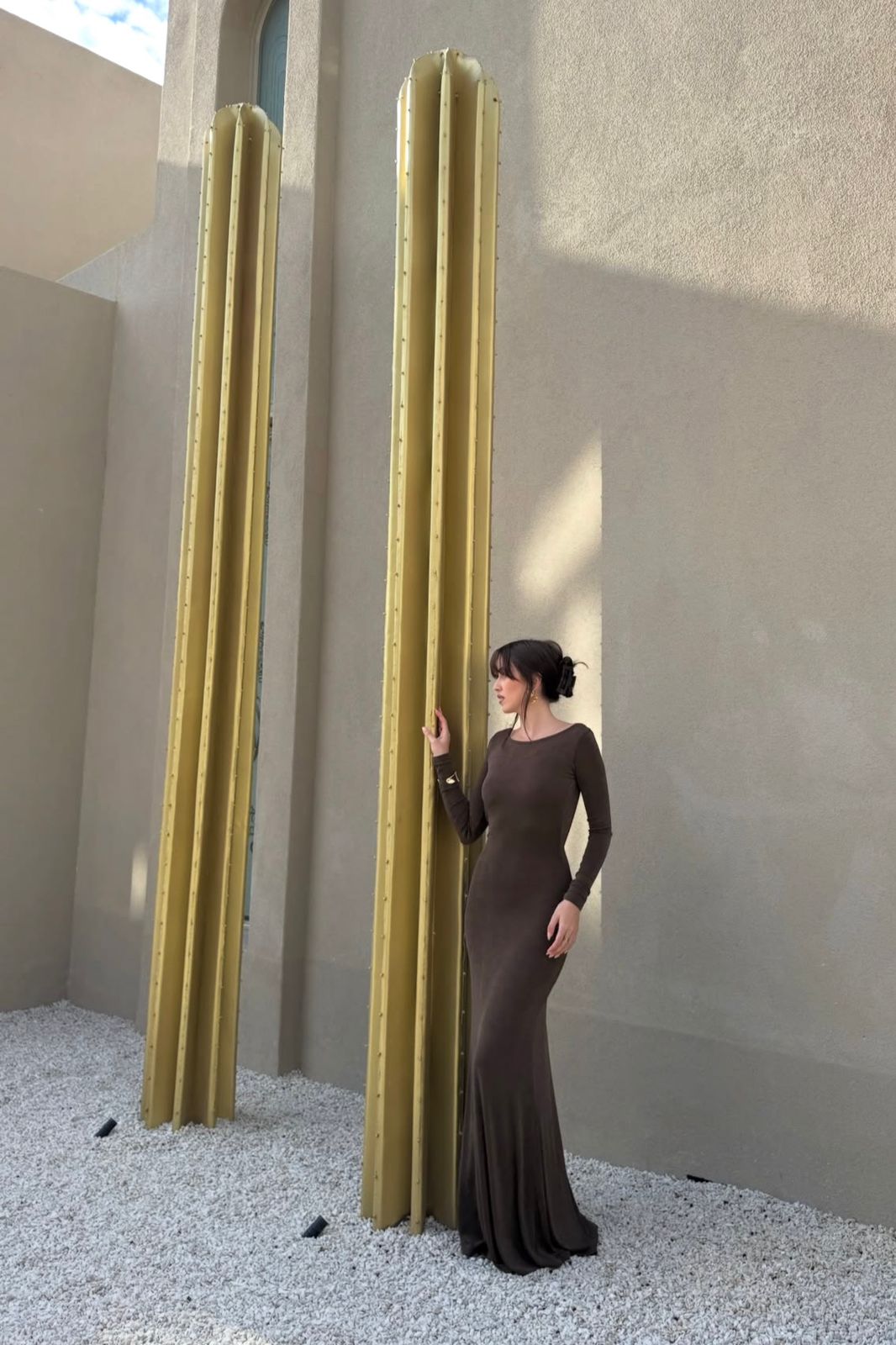 Isola Backless Maxi Dress Cocoa